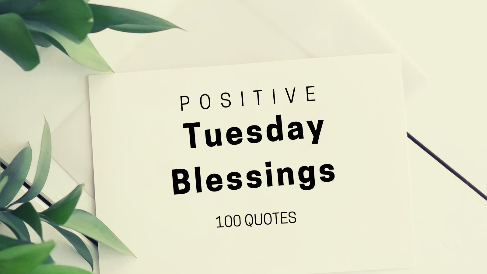 tuesday blessings