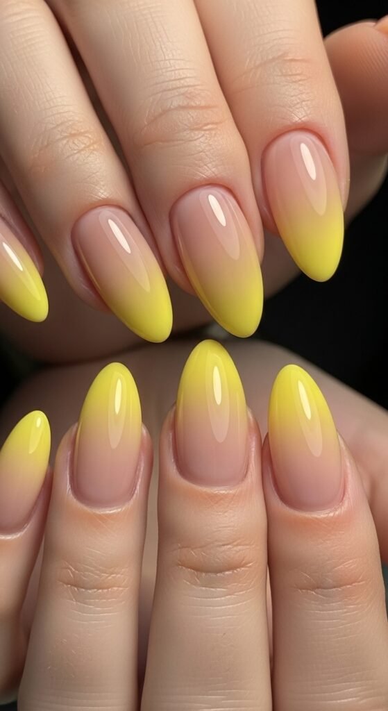 Whisk ef6997a0bf1680ba7cf4e1b8d4ff6bd9dr