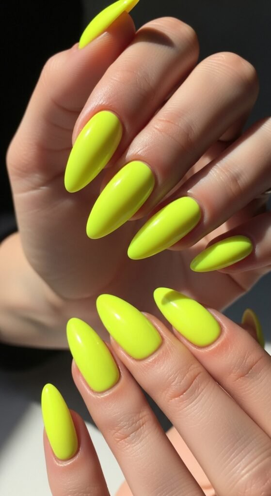 Whisk fc834f0a1f5fa31a84e4502105823383dr