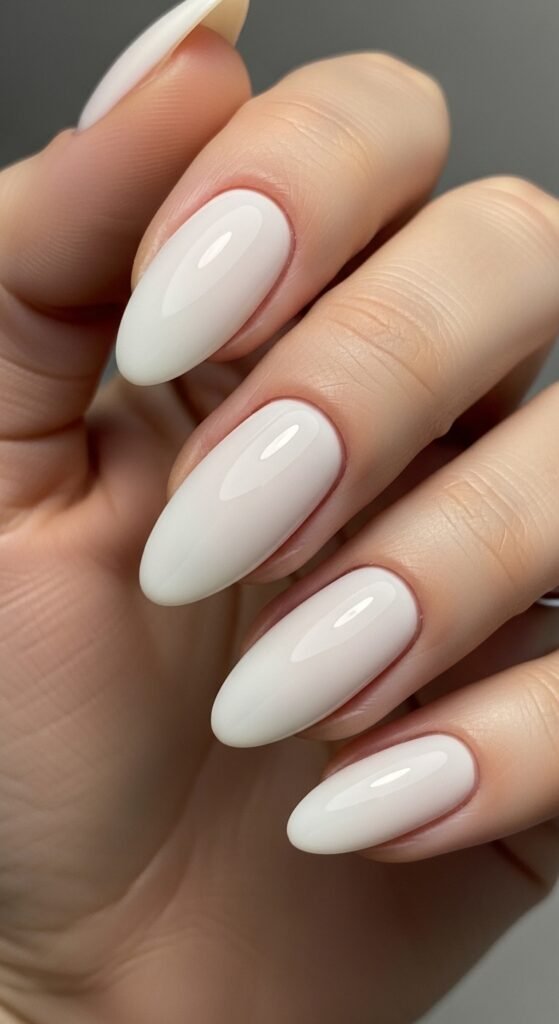 Whisk 265b9046450f8f186a840c0610402c2bdr